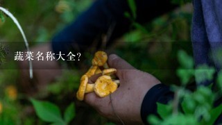 蔬菜名称大全？