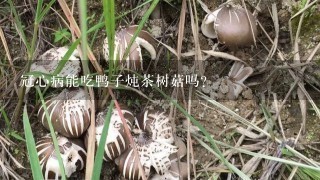 冠心病能吃鸭子炖茶树菇吗?