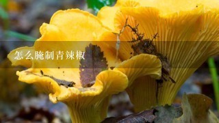 怎么腌制青辣椒