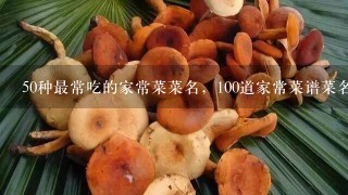 50种最常吃的家常菜菜名，100道家常菜谱菜名有什么