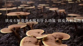 铁皮石斛花泡水喝有什么功效 铁皮石斛花泡水喝的功效