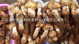 比金针菇粗的比茶树菇白是什么菌类？