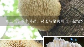 家里买了很多补品，灵芝与桑黄可以一起泡水喝吗？