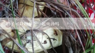 鸭子可以跟萝卜一起炖汤吗