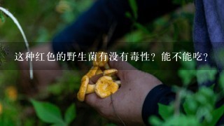 这种红色的野生菌有没有毒性？能不能吃？