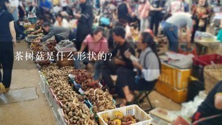 茶树菇是什么形状的?