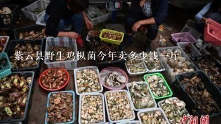 紫云县野生鸡枞菌今年卖多少钱一斤