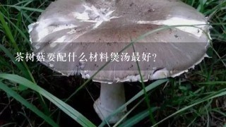 茶树菇要配什么材料煲汤最好？