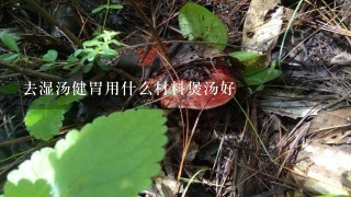 去湿汤健胃用什么材料煲汤好