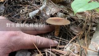 野生菌好吃榜排行?