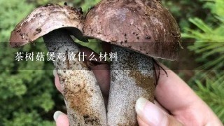 茶树菇煲鸡放什么材料