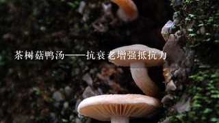 茶树菇鸭汤——抗衰老增强抵抗力
