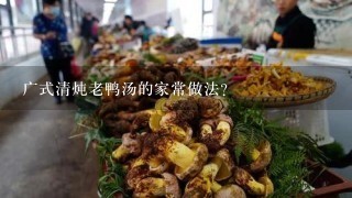 广式清炖老鸭汤的家常做法？