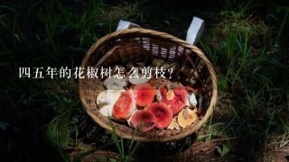 四五年的花椒树怎么剪枝？