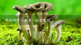 鸭肉和什么蔬菜一起搭配好