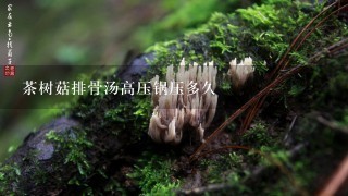 茶树菇排骨汤高压锅压多久