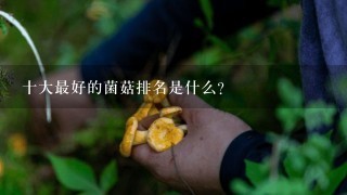 十大最好的菌菇排名是什么？