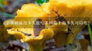 干茶树菇泡多久能吃茶树菇干泡多久可以吃？