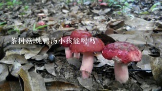 茶树菇i炖鸭汤小孩能喝吗