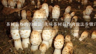 茶树菇炒肉的做法 美味茶树菇炒肉做法步骤详解