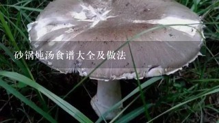 砂锅炖汤食谱大全及做法