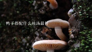 鸭子搭配什么炖汤最好