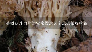 茶树菇炒肉片的家常做法大全怎么做好吃视