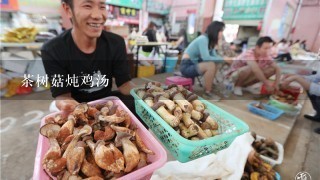 茶树菇炖鸡汤
