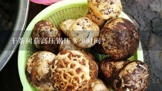 干茶树菇高压锅压多少时间？