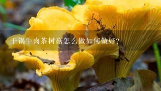 干锅牛肉茶树菇怎么做如何做好？