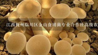 江西抚州临川区金山食用菌专业合作社高级农艺师江国志个人简历