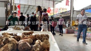 野生菌跟四季豆的毒性是一样的不？毒性成分一样不？