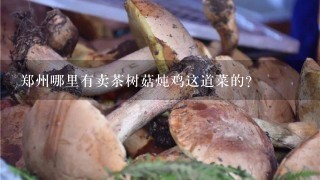郑州哪里有卖茶树菇炖鸡这道菜的？