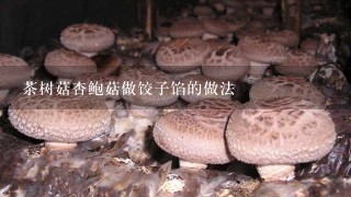 茶树菇杏鲍菇做饺子馅的做法