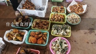 什么是食用菌？