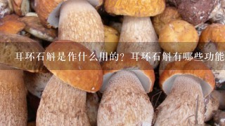 耳环石斛是作什么用的？耳环石斛有哪些功能?