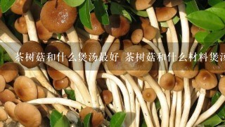 茶树菇和什么煲汤最好 茶树菇和什么材料煲汤最好