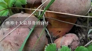 世界十大最昂贵的食材