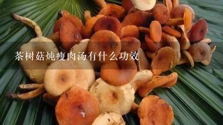 茶树菇炖瘦肉汤有什么功效