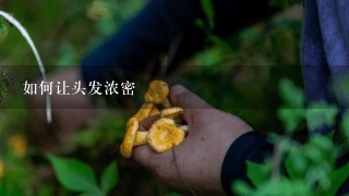 如何让头发浓密