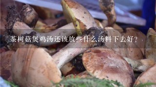 茶树菇煲鸡汤还该放些什么汤料下去好？