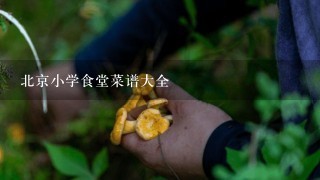 北京小学食堂菜谱大全