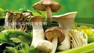 香菇808品种详细资料