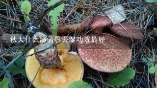 秋天什么汤清热去湿功效最好