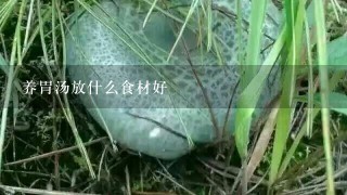 养胃汤放什么食材好