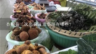 杏鲍菇二次出菇注意事项有哪些？