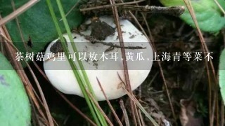 茶树菇鸡里可以放木耳,黄瓜,上海青等菜不