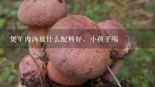 煲羊肉汤放什么配料好，小孩子喝