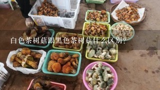 白色茶树菇跟黑色茶树菇什么区别？