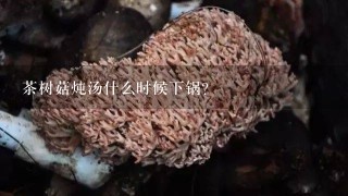 茶树菇炖汤什么时候下锅？